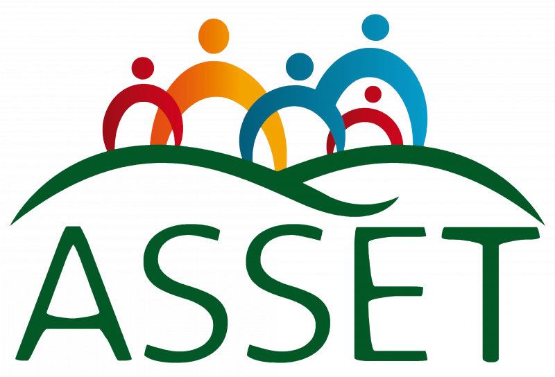 Logo Asset