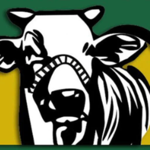 Logo Boi & Cia